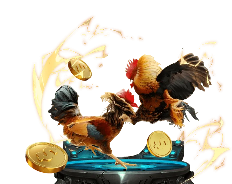 Minh bạch và công bằng trong cá cược trực tuyến